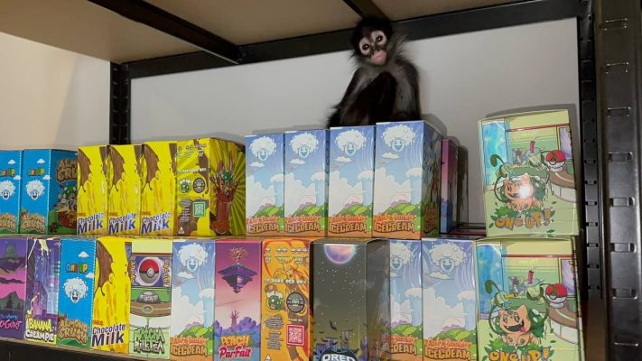 Cake Badder Ice Cream