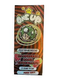 Raspberry Dark Chocolate